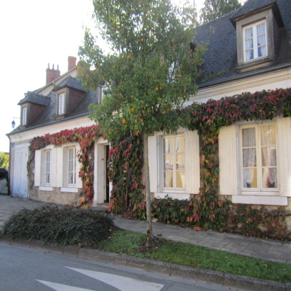 Offres de vente Maison Niherne 36250
